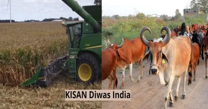 Kisan Diwas History National Farmer Day In India Why It Is Celebrated