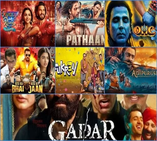 10 Bollywood Movies which Made More than Rs 100 Crore in 2023