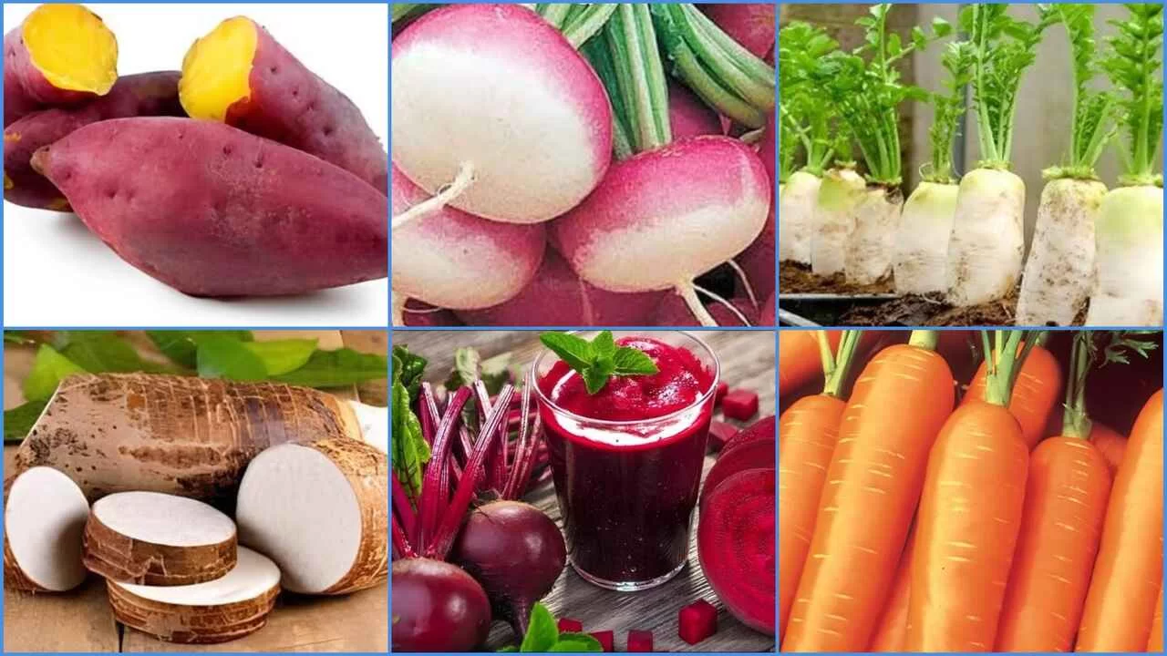 Weight Losing tips: Eat These 6 Root Vegetables to Lose Weight Faster