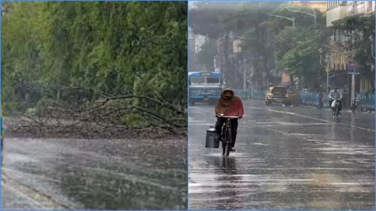 Delhi Weather Updates IMD Predicts Heavy Rainfall in Delhi, Issue