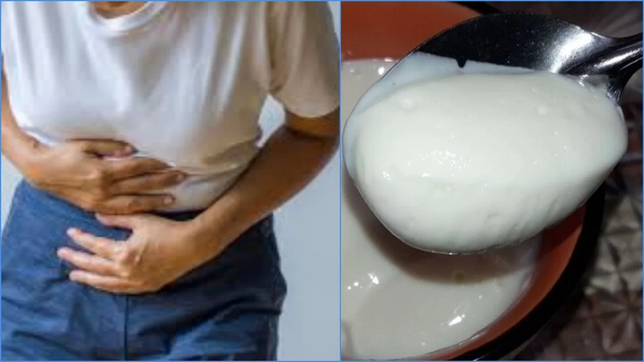 Eating Curd Daily will help to Get Rid of Constipation: Know Curd Benefits